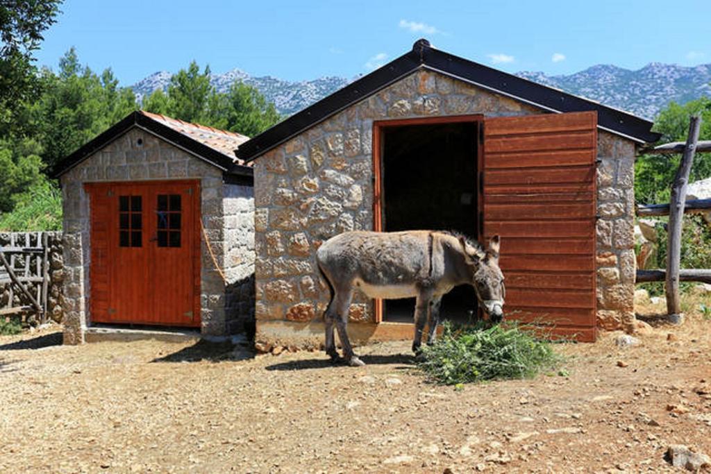 Stone House Magarac Appartement Seline Buitenkant foto